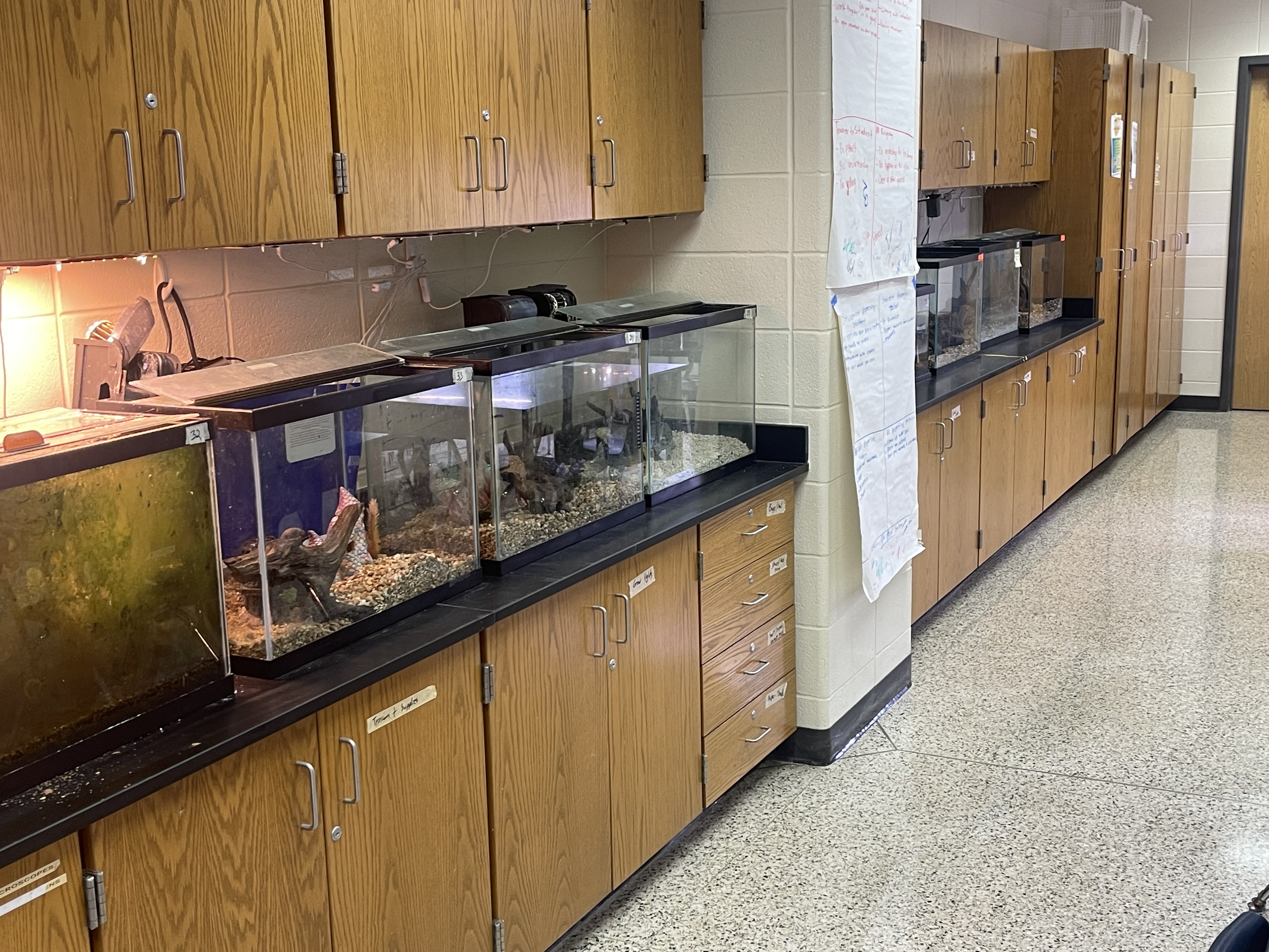Shelves with Tanks